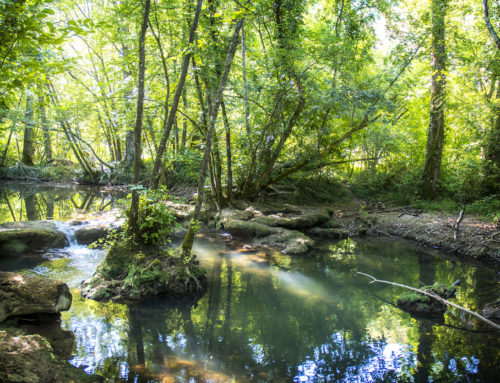 Cours d’eau