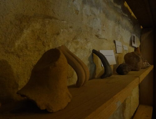 Exposition collaborative