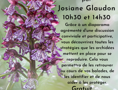 Conférence dans le cadre de la Fête de la Nature