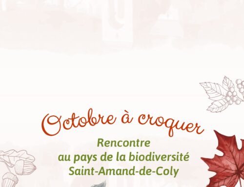 Octobre à croquer