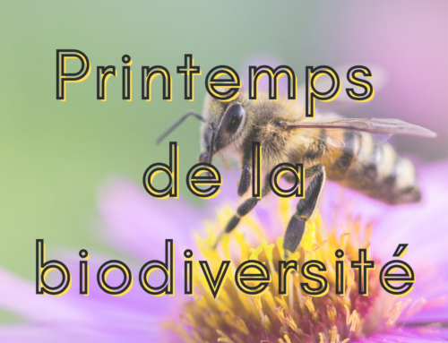 Printemps de la biodiversité