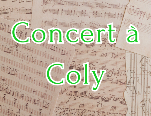 Concert Duo Hylia